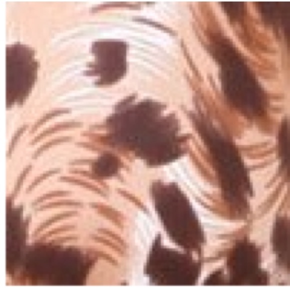 NWT Sheridyn Swim Brazilian Bikini Top Leopard and Boyleg Bikini Bottoms - L - Picture 7 of 7